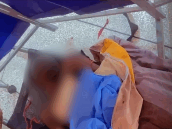 Untitled-design-564x424