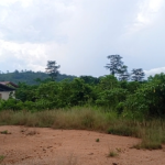Abandoned Agenda 111 Hospital in Assin Darmang overrun by weeds, snakes
