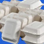 Ghana Plans to Ban Styrofoam Products from January 2027
