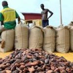 Cocoa buyers divert funds to purchase smuggled beans, COCOBOD says
