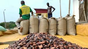 cocoa