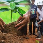 Govt Launches 2026 Tree for Life Initiative, Targets 30 Million Seedlings Nationwide