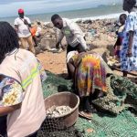 FDA, security agencies seize contaminated fish in Tema Newtown cleanup exercise