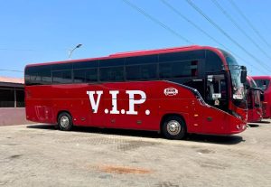 VIP Bus