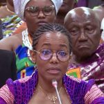 Stronger inter-agency coordination needed to fight galamsey – Zanetor