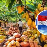 NPP describes GH¢2,650 cocoa producer price as unfair and unlawful