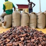 COCOBOD increases cocoa price to GH¢2,650 per bag for 2026/2027 season