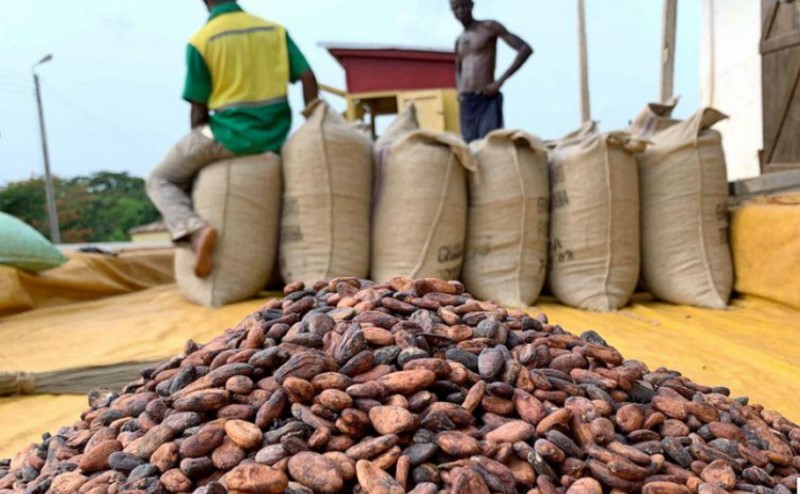 cocoa-bags-Copy