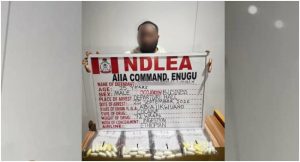 ndlea-1-1