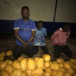 Police arrest four, recover 142 parcels of Indian hemp; reject GH₵50,000 bribe